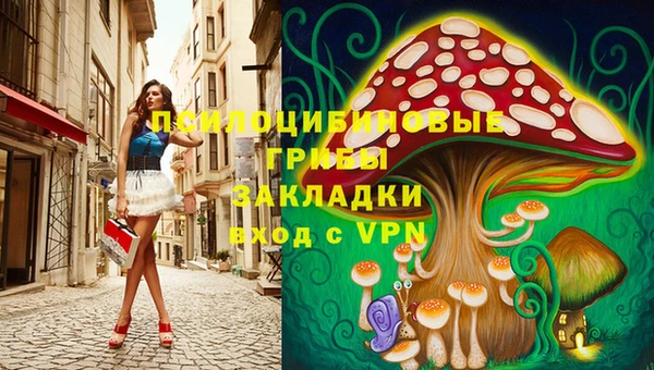 крисы Володарск