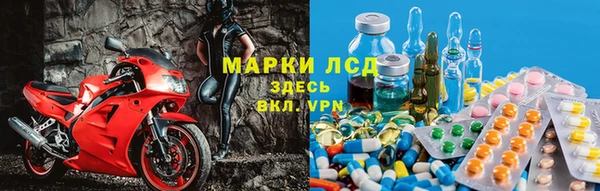 стафф Верхний Тагил