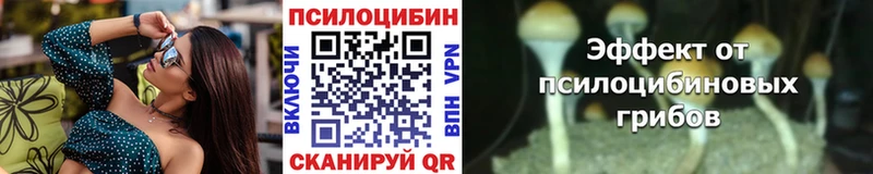 Галлюциногенные грибы прущие грибы  Магнитогорск 